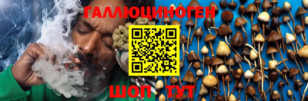 Псилоцибиновые грибы мухоморы  Псилоцибиновые грибы MAGIC MUSHROOMS  Камышин  Вход с VPN 